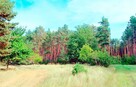 Działka z WZ 760m2 Piasek gm. Cedynia, las, rzeka Odra - 4