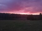 Działka nad jeziorem, bezpośredni dostęp. Warmia-Mazury - 6