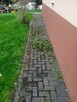 Mycie ogrodzeń, malowanie ogrodzeń ,mycie kostki, mycie elewac - 9