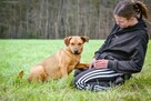 Dżeki - średniej wielkości rudy pies do adopcji - 3