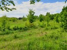 Działka 5400 m2 budowlana WZ - 4