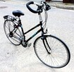 Rower GIANT Squadron rama 52 cm 28&quot; - 8
