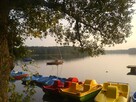Domek blisko plaży Sieraków PUSZCZA NOTECKA - 13