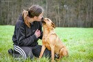 Dżeki - średniej wielkości rudy pies do adopcji - 5