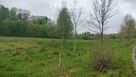 Działka Mysłakowice ( Cerwony Dworek ) - 4