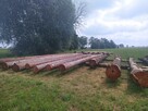 Inwentaryzacja drzew, operat dendrologiczny - 5