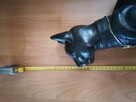 Duży Kot Egipski - 2