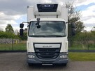 DAF 16T LF 230 WINDA CHŁODNIA 16EP 6,60x2,48x2,39 KLIMA IZOTERMA  MROŹNIA AGREGAT CARRIER - 14