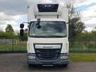 DAF 16T LF 230 WINDA CHŁODNIA 16EP 6,60x2,48x2,39 KLIMA IZOTERMA  MROŹNIA AGREGAT CARRIER - 14