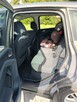 Ford C Max - 10