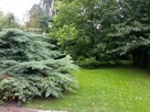Dom Oleśnica - 10