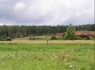 Działka budowlana Burdąg gm. Jedwabno - 3