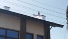 PAPA W PŁYNIE: grafitowa, brązowa, czerwona, szara, biała - 3