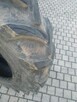 opona 11,2 r24 ALLANCE RIADIAL BIEŻNIK OK 2,5 CM NIE NAPRAW - 3