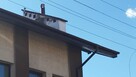 PAPA W PŁYNIE: grafitowa, brązowa, czerwona, szara, biała - 2