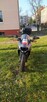 Sprzedam Motocykl KTM RC - 3