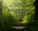 Działka budowlana Charzyno gm. Siemyśl - 2