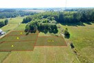 Wyjątkowe działki na Mazurach w otoczeniu lasów i jezior! - 2