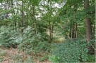 Syndyk sprzeda nieruchomość gruntową - 2