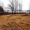 Piękna działka od 2900 m2 z linią jezioro Karw Mrągowo Mazu - 4