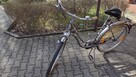 Rower damski - 13