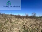 Działka siedliskowa Siwiałka gm. Starogard Gdański - 3