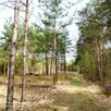 Działka rolna 2700m plus las 900m Czarna Janków Wołomin S8 - 2