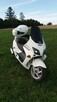 Honda jazz 250 zarejestrowana na 125cm3 - 1