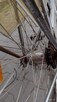 Rower damski - 7