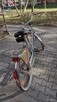 Rower damski - 15