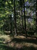 Nieruchomość gruntowa od Syndyka - Bielany-Żyłaki - 3