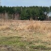 Działka inwestycyjna 7000 m2 w Sierakowie. - 3
