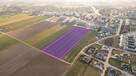 Działka | Sprzedaż | 1,8 ha | Ciechanów - 5