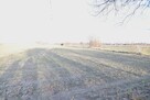 Działka budowlana Maryniów gm. Milejów - 3