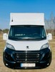Koniowóz Peugeot Boxer, Zabudowa 2025r - 8