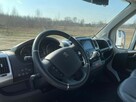 Koniowóz Peugeot Boxer, Zabudowa 2025r - 13