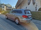 Mercedes GL 450  4Matic 7G-TRONIC - 8