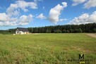 Działka budowlana Charzyno gm. Siemyśl - 5