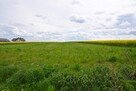 Działka budowlana Nasutów gm. Niemce - 2