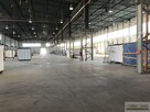 Lokal użytkowy Opole Kolonia Gosławicka, Wschodnia - 13
