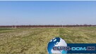 DZIAŁKI Z WARUNKAMI ZABUDOWY - Krzywiń, Szurkowo - 10