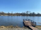 Działka na skarpie nad Narwią - 5
