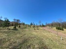 Działka na skarpie nad Narwią - 3