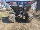 Apollo magnum 259 - 4