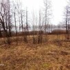 Piękna duża działka z WZ 1,52ha z linią jezioro Karw Mrągowo - 6