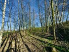Działka budowlana Łowczów gm. Tuchów - 9