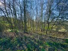 Działka budowlana Łowczów gm. Tuchów - 11