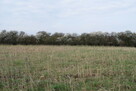 Działka 69a pod budownictwo- Stobierna - 4