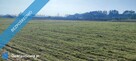 Działka Budowlana Ozorowice 35 arów - 9