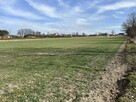 Działka budowlana Lipowa gm. Dąbrowa, Krokusowa - 2